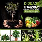 (Pack of 2) Soil Activated Treasure + (Free Plant Booster) – Organic Soil Conditioner & Root Growth Fertilizer for Potted Plants & Home Garden