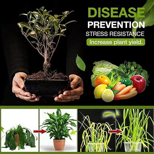 (Pack of 2) Soil Activated Treasure + (Free Plant Booster) – Organic Soil Conditioner & Root Growth Fertilizer for Potted Plants & Home Garden