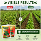 Cyclosinone Herbicide Weed Killer (Pack of 2) – High-Power Granules & Plant Growth Supplement
