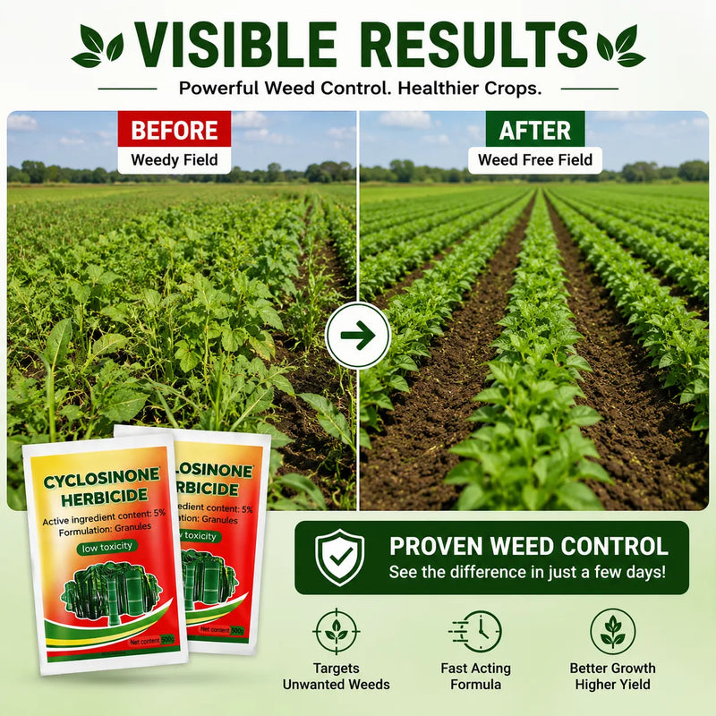 Cyclosinone Herbicide Weed Killer (Pack of 2) – High-Power Granules & Plant Growth Supplement