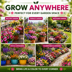 (150 Varieties) Exotic Flower Seeds Combo Pack – Organic Flower Seed Assortment for Home Garden (With Plant Growth Booster)
