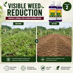 Herbicide Glufosinate (Pack of 2) - High-Concentration Non-Selective All Crop Weed Killer