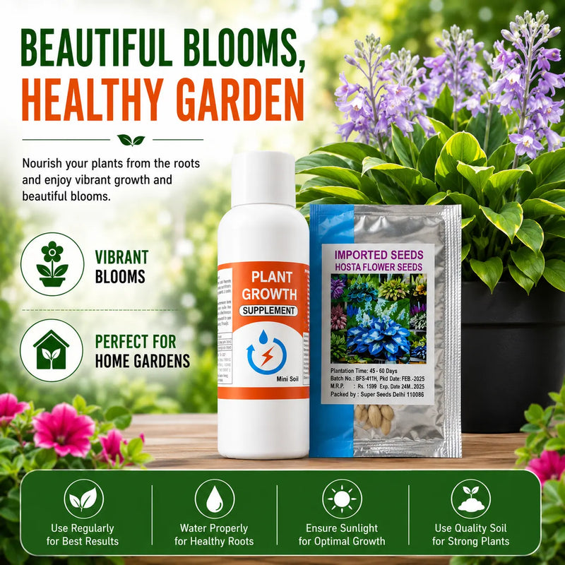 Hosta Flower Seeds for Home Garden – Premium Exotic Hosta Plant Seeds (With Free Plant Growth Booster)