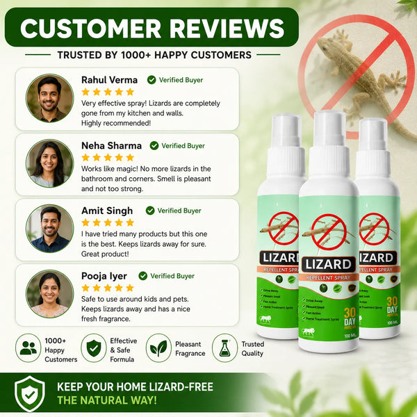 (Pack of 3) Lizard Repellent Spray Lizard Deterrent – Natural Lizard Spray & Chipkali Bhagane Ka Spray