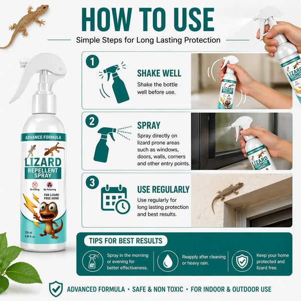 Lizard Repellent Spray for Home (Pack of 2) – Natural & Effective House Lizard Deterrent for Pest Control