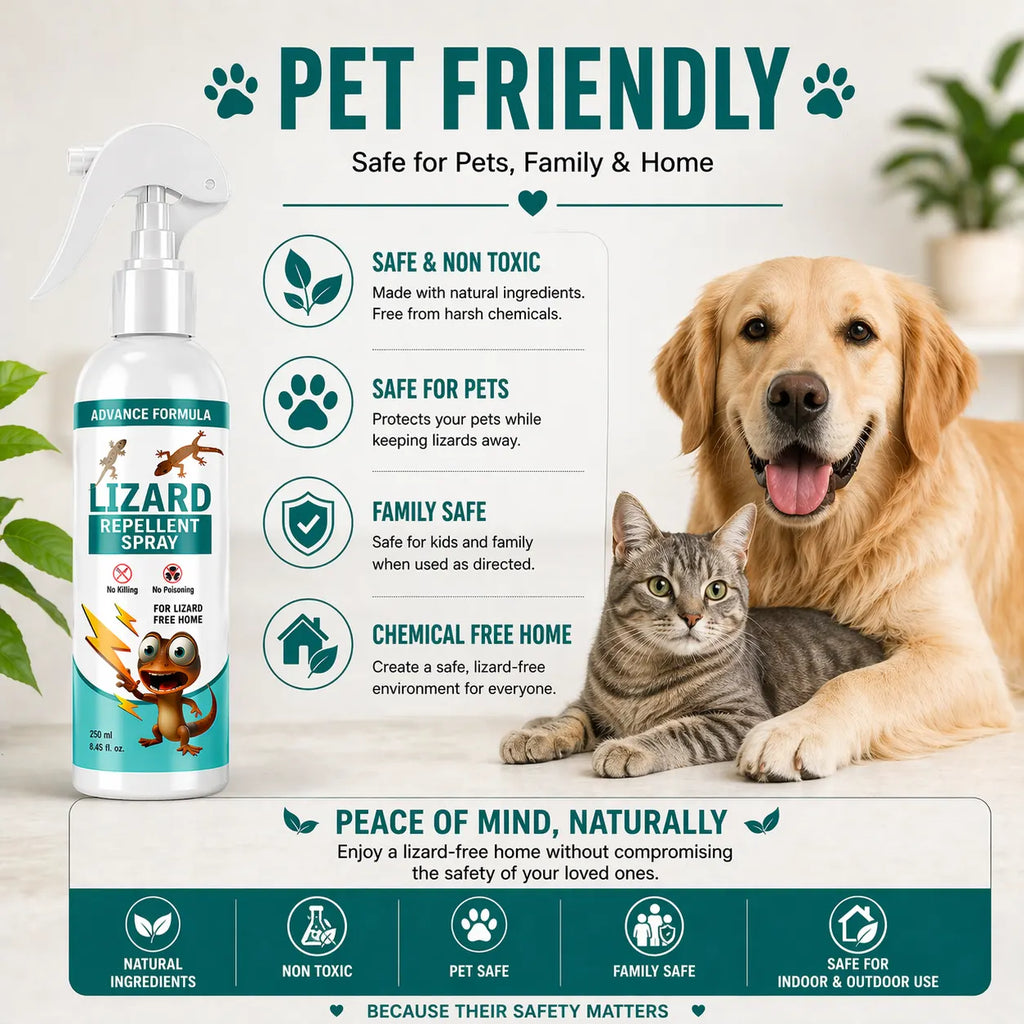 Lizard Repellent Spray for Home (Pack of 2) – Natural & Effective House Lizard Deterrent for Pest Control