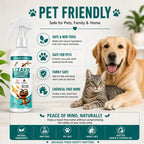 Lizard Repellent Spray for Home (Pack of 2) – Natural & Effective House Lizard Deterrent for Pest Control