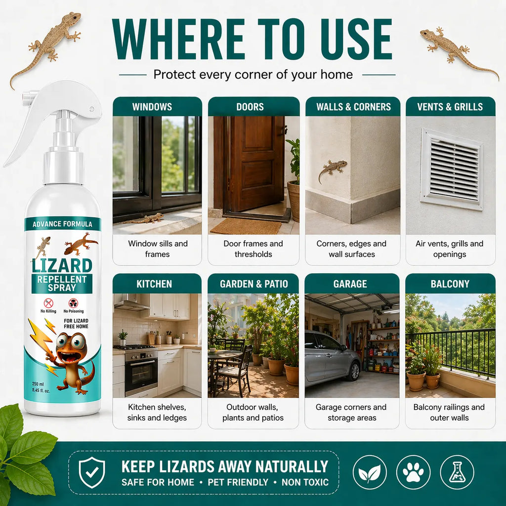 Lizard Repellent Spray for Home (Pack of 2) – Natural & Effective House Lizard Deterrent for Pest Control