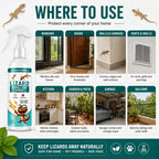 Lizard Repellent Spray for Home (Pack of 2) – Natural & Effective House Lizard Deterrent for Pest Control