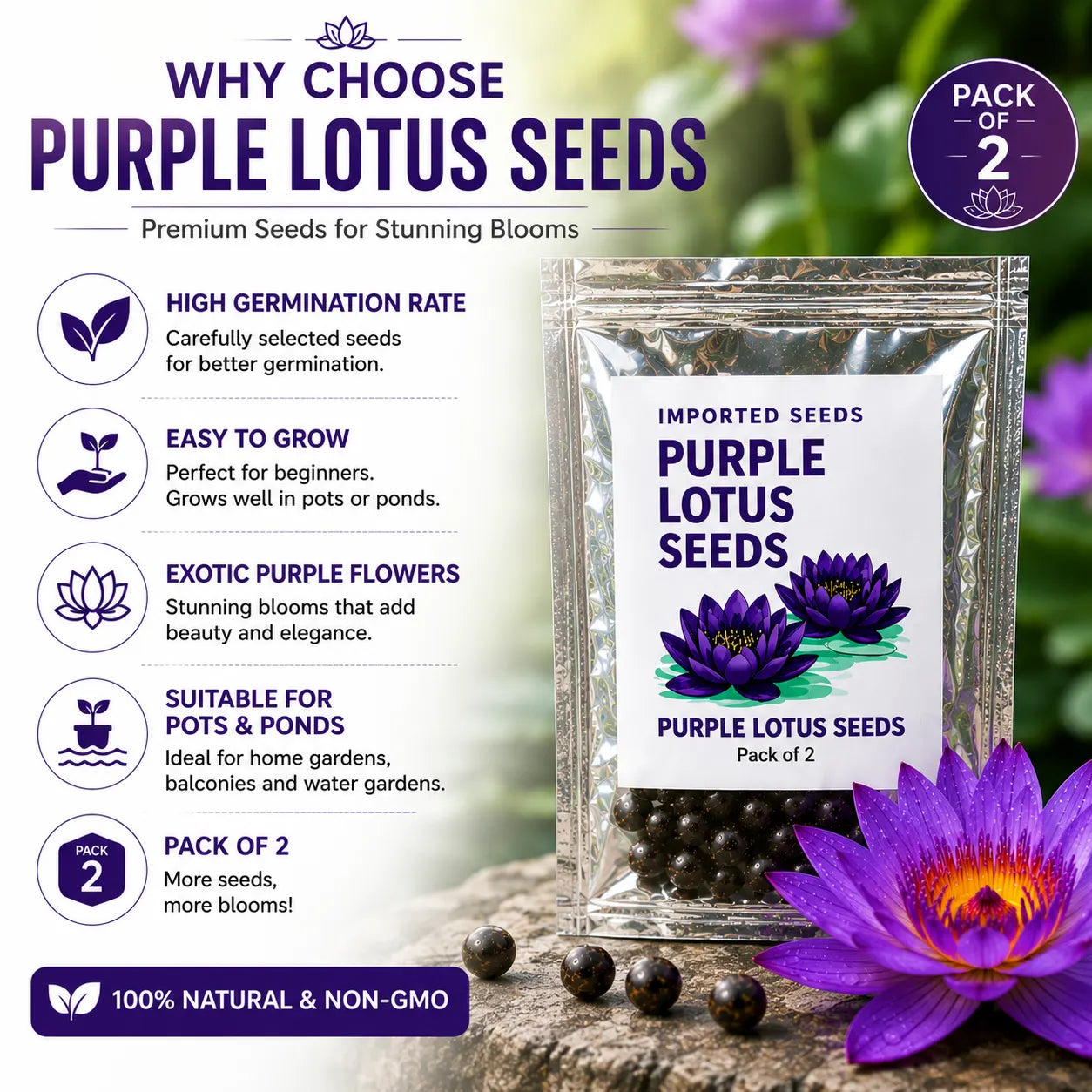 Lotus Seeds for Planting (Pack of 2) – Exotic Lotus Flower Seed for Home Garden & Water Bowls