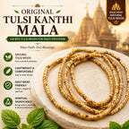 Original Tulsi Kanthi Mala – 100% Authentic Holy Basil Wood Tulsi Mala for Neck