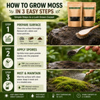 Premium Grade Moss Spore Powder (Pack of 2) – Grow Bonsai Moss, Organic Seed Starter & Soil Moisture Retainer For Gardening