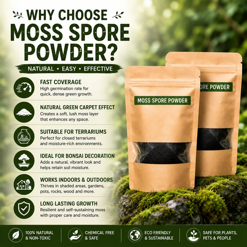 Premium Grade Moss Spore Powder (Pack of 2) – Grow Bonsai Moss, Organic Seed Starter & Soil Moisture Retainer For Gardening