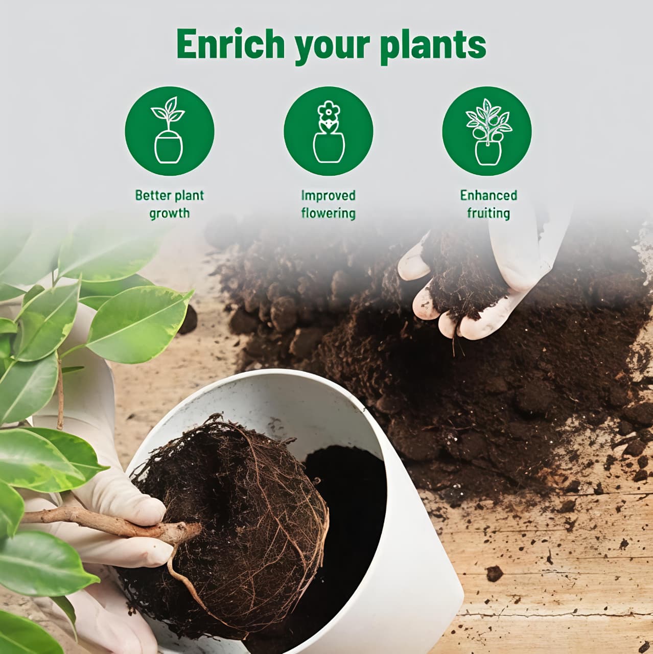 Person planting a plant with text 'Enrich your plants' and icons for better growth, improved flowering, and enhanced fruiting.