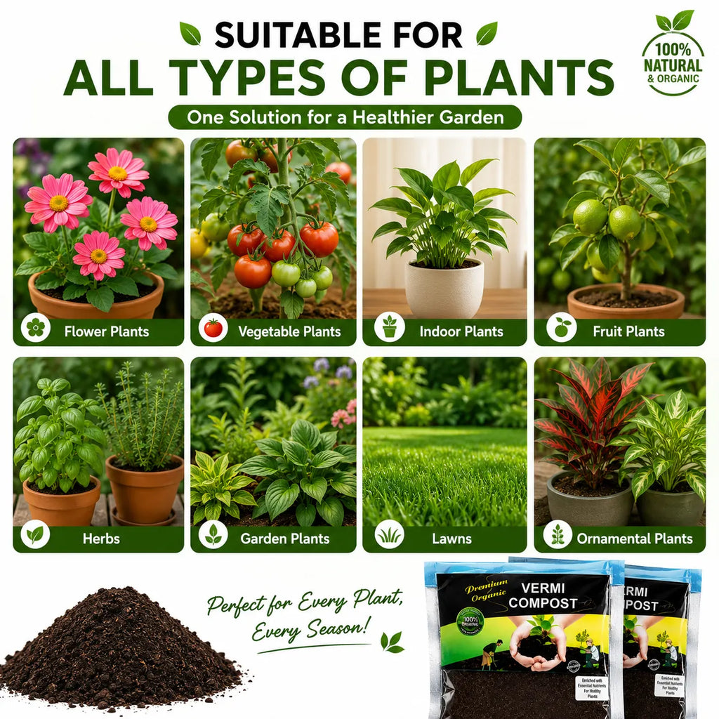 Vermi Compost Organic Vermicompost (Pack of 2) – Premium Vermicompost Fertilizer for Plants & Home Gardening