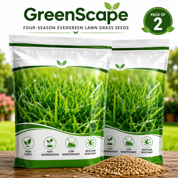 (Pack of 2) Grass Seeds Lawn Grass Seed – Premium 4-Season Evergreen Garden Grass Seed for Home Lawn & Yard