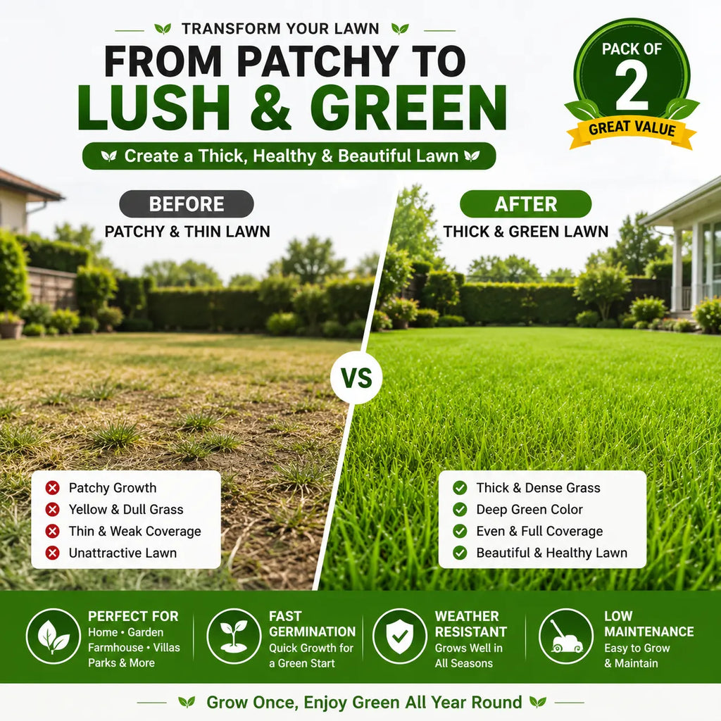 (Pack of 2) Grass Seeds Lawn Grass Seed – Premium 4-Season Evergreen Garden Grass Seed for Home Lawn & Yard