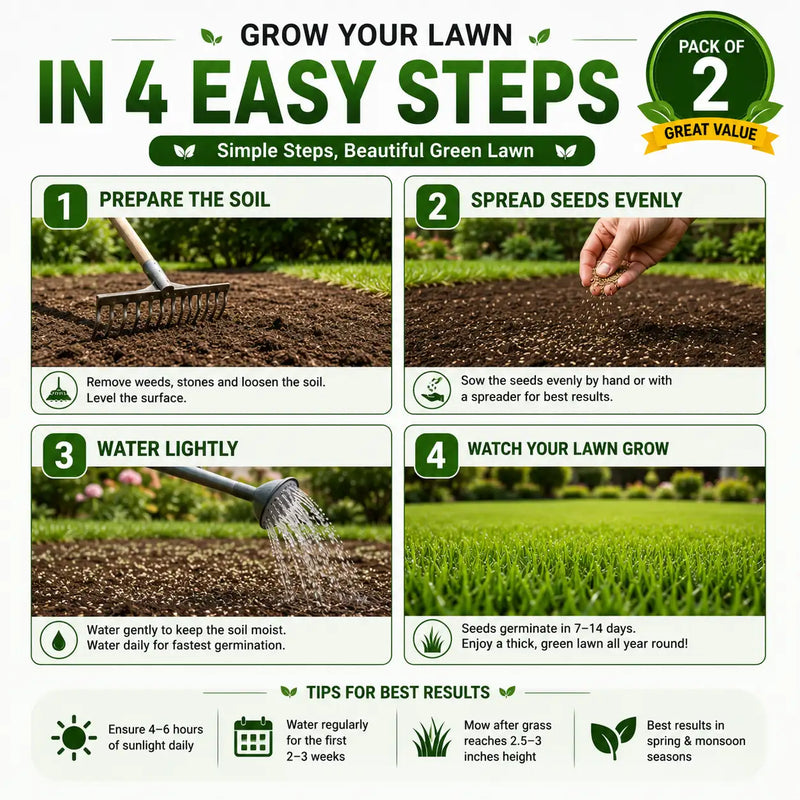 (Pack of 2) Grass Seeds Lawn Grass Seed – Premium 4-Season Evergreen Garden Grass Seed for Home Lawn & Yard