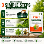 Weed Killer Herbicide (Pack of 2) – Fast Acting Root Control Formula for Garden & Lawn