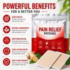 Pain Relief Patch Ginger Heat Patches (20 Patches Pack of 2) – Herbal Knee Patches & Back Pain Relief Plaster