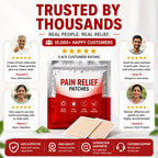 Pain Relief Patch Ginger Heat Patches (20 Patches Pack of 2) – Herbal Knee Patches & Back Pain Relief Plaster