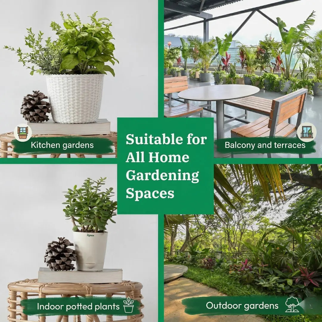 Premium Organic Vermicompost (400g) – 100% Pure Earthworm Fertilizer for Faster Plant Growth & Greener Leaves