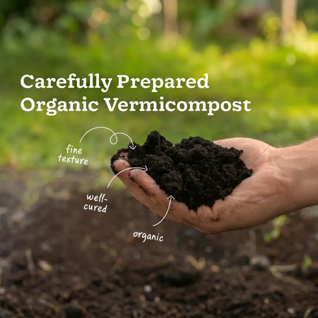 Premium Organic Vermicompost (400g) – 100% Pure Earthworm Fertilizer for Faster Plant Growth & Greener Leaves